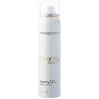 Assistant Professional Spray&Go - Сухой шампунь, 100 мл Assistant Professional Spray&Go - Сухой шампунь, 100 мл